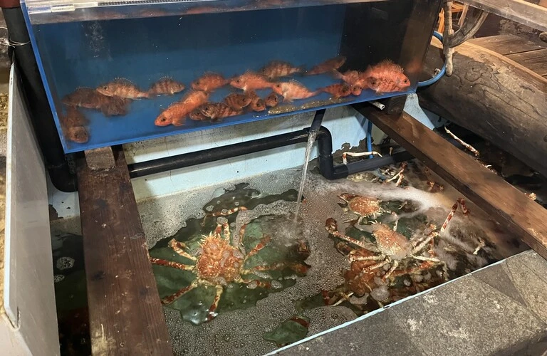 新しい食の世界への扉を開けよう！未経験でも活躍できる働きやすい環境で、地の食材に触れながら職人技を磨くチャンス